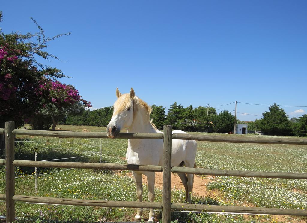 מלון סילבס Quinta Dos Cavalos מראה חיצוני תמונה